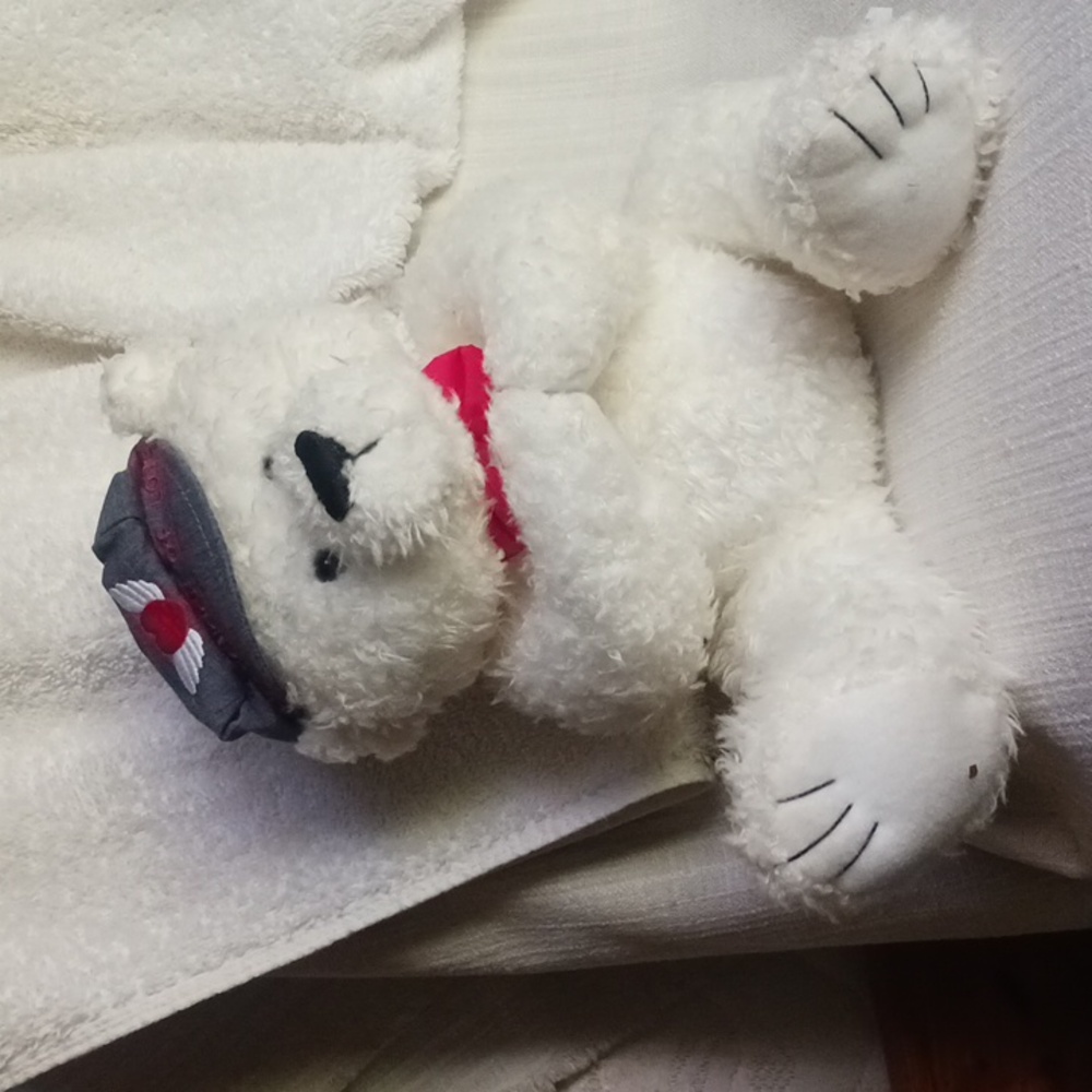 American Greetings bear messenger